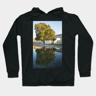 Montpellier tree. Hoodie